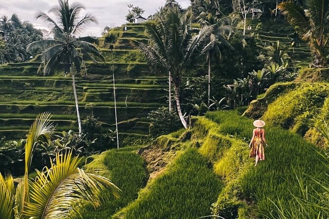 Ubud Higlights Full Day Tour - Private Tour Experience - Guides Who Make the Day Feel Easy: Komang, Wayan, Gede, Made, Ketut