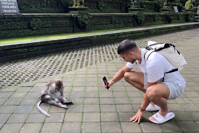 Ubud Higlights Full Day Tour - Private Tour Experience - What to Pack and How to Avoid Awkward Moments