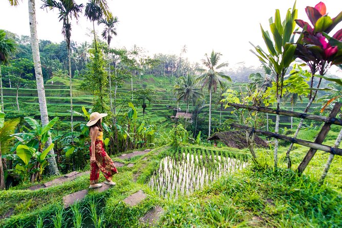 Ubud Iconic Full Day Tour Monkey Forest Rice Terraces Waterfalls - Key highlights worth pencasing in