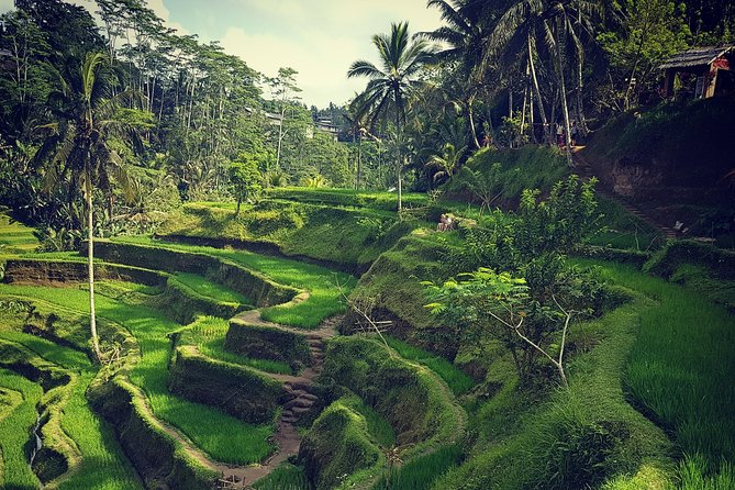 Ubud iconic waterfall and temple tours - A Ubud Day Built Around Four Famous Stops (Without the Chaos)