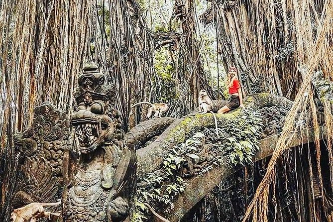 Ubud iconic waterfall and temple tours - Private Transportation and a Guide Who Keeps the Day Smooth