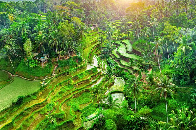 Ubud Jungle Adventure: Tirta Empul & Bali Swing - Key highlights worth knowing