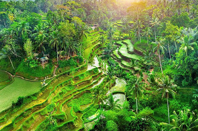 Ubud Jungle Adventure: Tirta Empul & Bali Swing - Price and Logistics: What $64 Buys You (and What It Doesn’t)