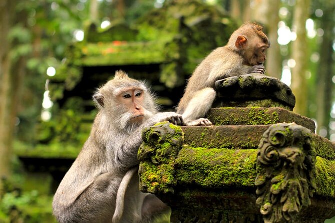 Ubud Jungle Adventure: Tirta Empul & Bali Swing - Timing Your Day: How to Avoid Feeling Rushed