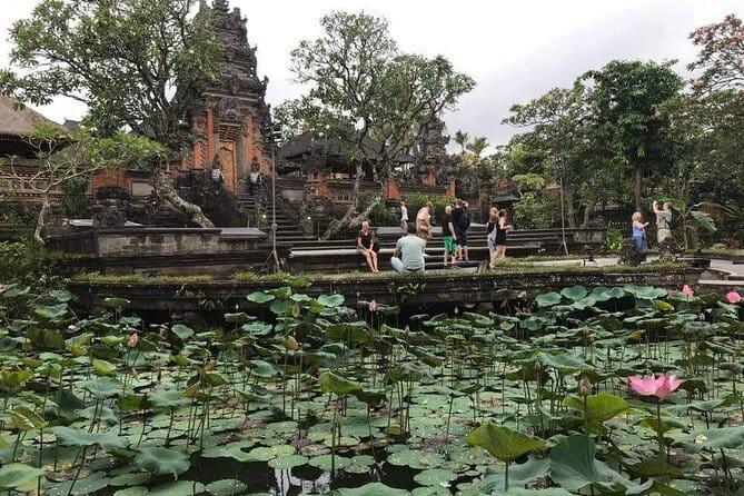 Ubud Jungle Cart Adventure + Volcano view Tour. - Tegalalang Rice Terrace: your hour for photos, paths, and patience