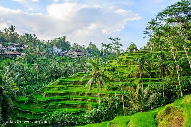 Ubud Jungle Cart Adventure + Volcano view Tour. - Ubud shopping and bargaining help: how your guide turns time into value