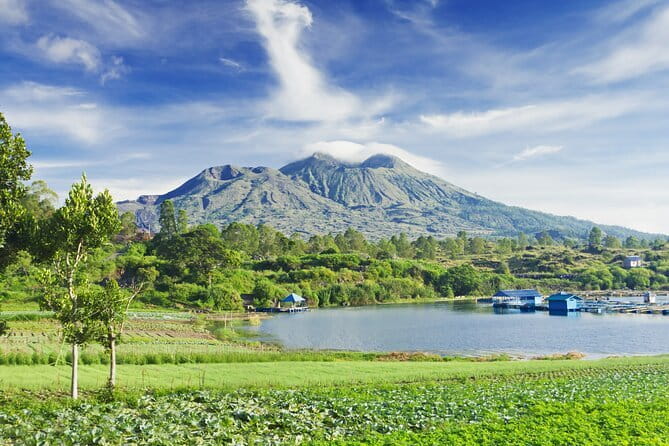 Ubud Jungle Cart Adventure + Volcano view Tour. - Transportation, comfort, and the shape of a private group day