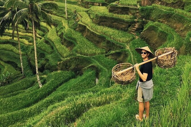 Ubud Jungle Swing - Monkey Forest - Water Temple - Waterfall - Key Highlights You’ll Feel Fast