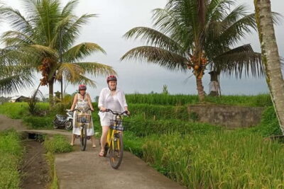 Ubud : Kintamani Downhill Cycling Tour with Lunch - Timing and what 6 hours really means for your day