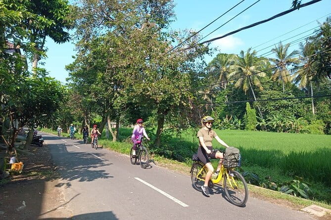 Ubud : Kintamani Downhill Cycling Tour with Lunch - Pura Desa Malet Gusti: village school, temple, and a real look at daily life