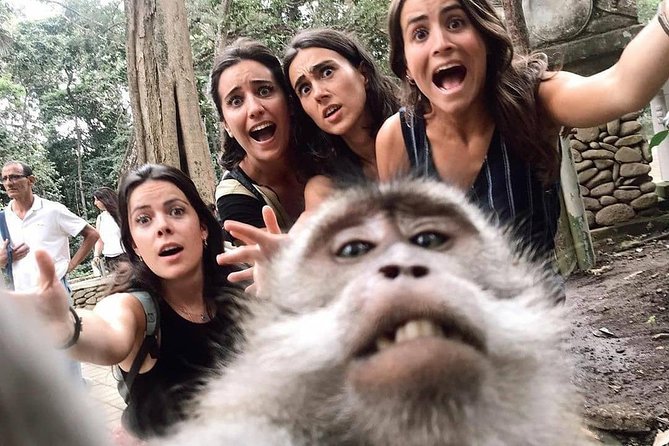 Ubud Monkey Forest, Holy Water Temple & Waterfalls Tours - Tirta Empul Temple: joining a holy water blessing at the sacred springs