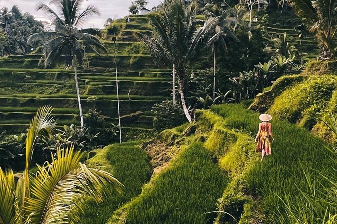 Ubud Monkey Forest, Rice Terrace & Tirta Empul Temple Tour - Key highlights worth knowing