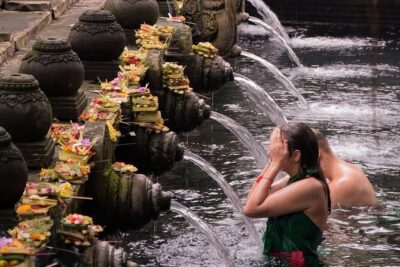 Ubud Monkey Forest, Rice Terrace & Tirta Empul Temple Tour - Sacred Monkey Forest Sanctuary: the fast way to see hundreds up close