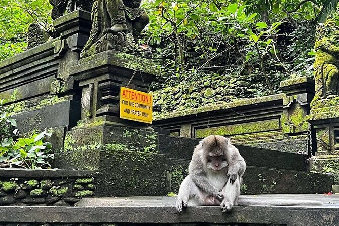Ubud Monkey Forest, Rice Terrace & Tirta Empul Temple Tour - Tibumana Waterfall: a quieter nature reset at the end of the route