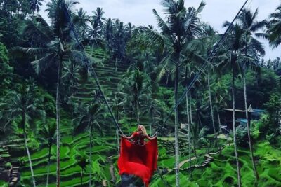 Ubud : Monkey Forest, Rice Terrace, Waterfall, Swing - Price and logistics: value, but watch the add-ons