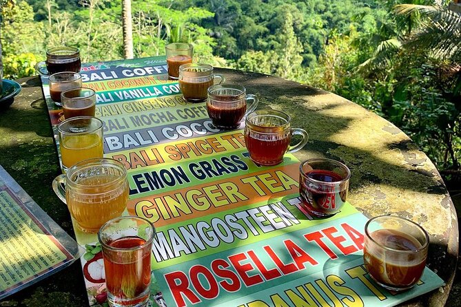 Ubud : Monkey Forest, Rice Terrace, Waterfall, Swing - Agro Santi Coffee Plantation in Kintamani: tasting and highland context
