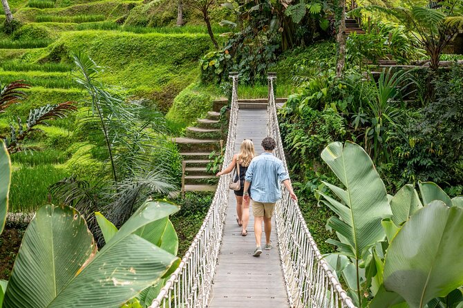 Ubud: Monkey Forest, Rice Terraces & Sacred Temples - Monkey Forest sanctuary: close macaques, temple nooks, and a need for attention