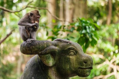 Ubud: Monkey Forest, Rice Terraces & Sacred Temples - Goa Gajah (Elephant Cave): carved stone, ancient pools, and strong atmosphere