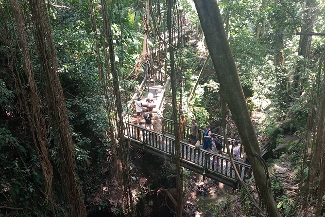 Ubud Monkey Forest Sanctuary Entrance Ticket All Inclusive - The Guide Factor: How It Improves Your Monkey Forest Visit