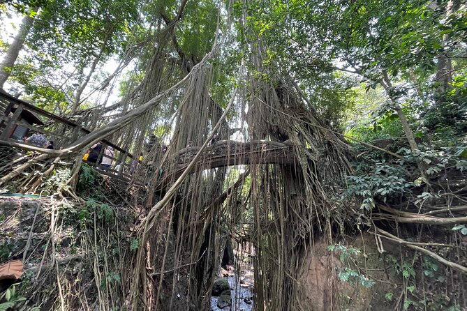 Ubud Monkey Forest Sanctuary Entrance Ticket All Inclusive - Is a Balinese Show Included Too?