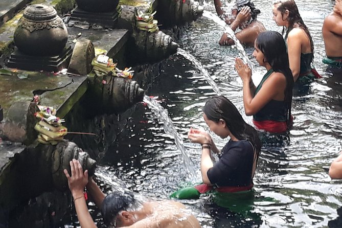 Ubud Natural Gems And Secret Waterfall Private Guided Tour - Stop 3: Tegalalang rice terraces and a real walking break