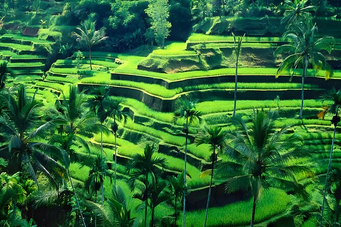Ubud Night Half Day Trip with Legong Dance Performance - From Seminyak Pricing and Pickup: Is $55 Good Value?