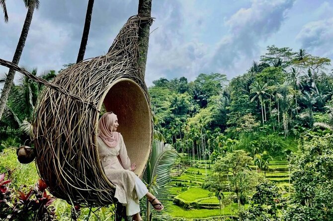 Ubud Private Chasing Waterfall and Water Temple Tour - Stop 2: Tirta Empul Temple and the Purification Springs (1 Hour)