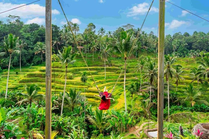 Ubud Private Chasing Waterfall and Water Temple Tour - Stop 3: Ulu Petanu Waterfall for Photos and Pool Views (45 Minutes)