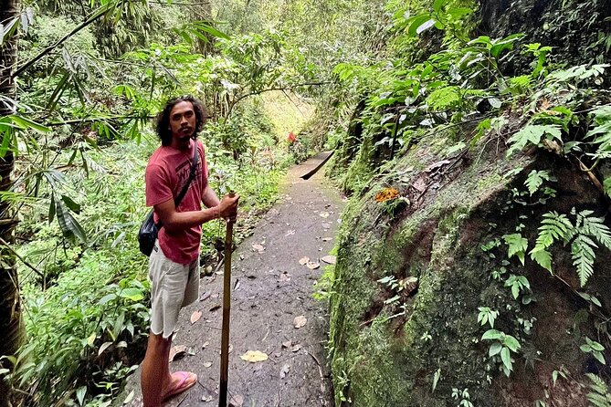 Ubud: Private Customized Highlights Tour - Half-Day vs Full-Day: How to Pick the Right Amount of Ubud
