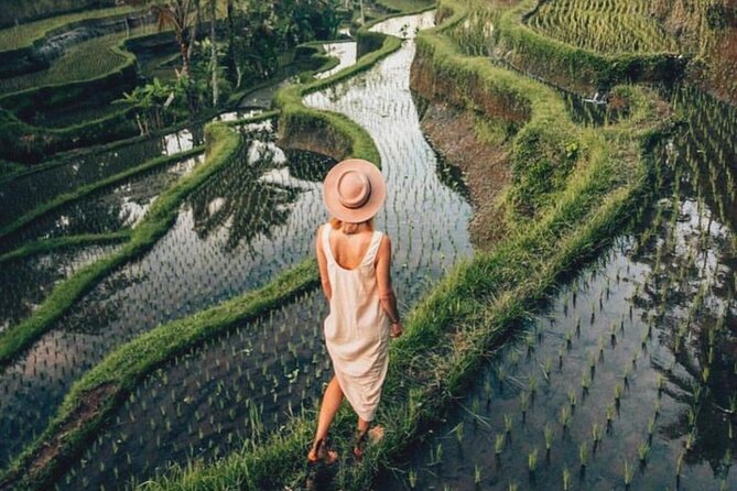 Ubud: Private Customized Highlights Tour - Rainy Season Reality: How to Stay Comfortable Without Killing the Fun