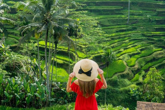 Ubud: Private Customized Highlights Tour - Start Strong: Pickup, Water, and the Guide’s Job Description