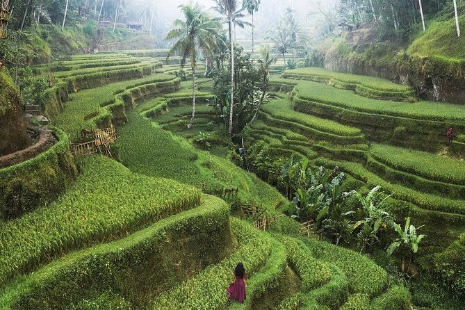 Ubud Private Full-Day Tour - Stop 3: My Swing Bali for Classic Jungle Photo Energy
