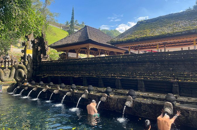Ubud Private Nature and Temple Tour - Tegallalang rice terraces and the Subak irrigation system