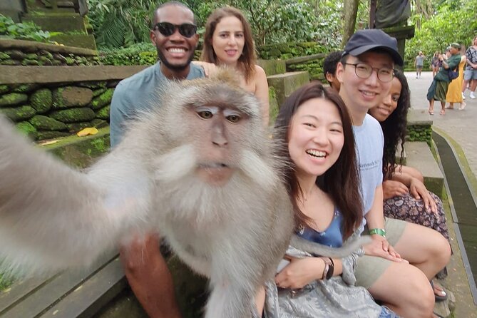 Ubud Private Tour - Kumulilir Coffee Plantation and Jungle Lust Swings