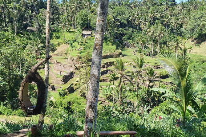 Ubud Private Tour - Tegenungan Waterfall: Soak Time and Why 30 Minutes Still Works