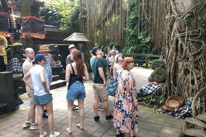 Ubud Private Tour - Price and Logistics: Does $100 Really Make Sense?