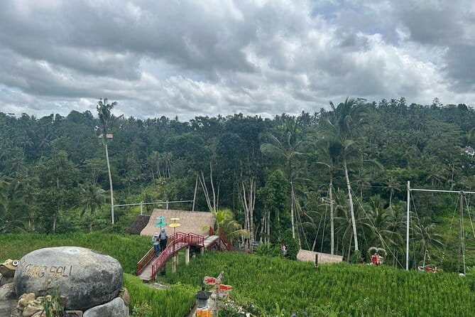 Ubud Private Tour From Cruise Port Benoa Bali All Inclusive - Should You Book Ubud Private Tour From Cruise Port Benoa Bali All Inclusive?
