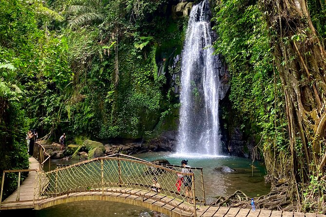 Ubud Private Tour: Monkey Forest, Rice Terrace, Temple, Waterfall - Comfort, timing, and why private helps on Bali