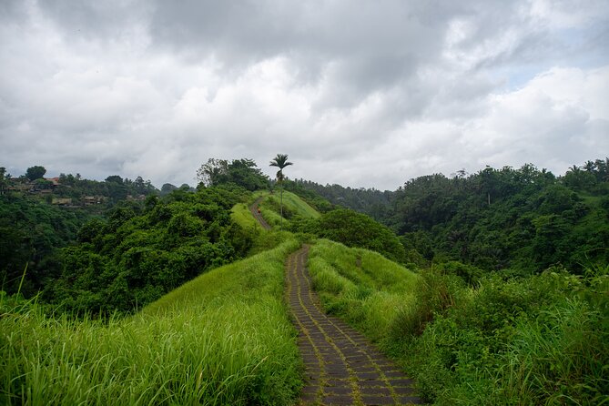 Ubud Private Tour: Monkey Forest - Tirta Empul Temple - Goa Gajah (Elephant Cave) and Tegenungan Waterfall in one go
