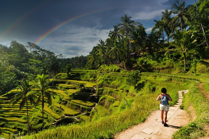 Ubud Private Tour: Monkey Forest - Tirta Empul Temple - All-inclusive vs pay-at-the-spot: how to judge the value of this $35 private tour