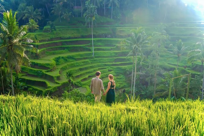 UBUD Private Tour – Rice Terrace, Jungle Swing & Hidden Waterfall - Why this Ubud day works: waterfalls, swing views, and a private pace