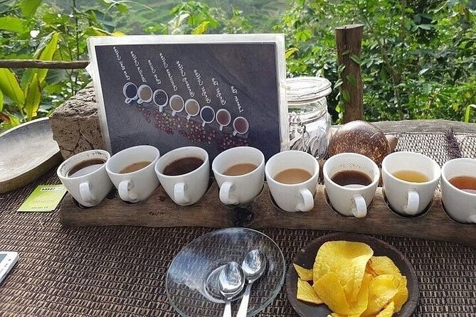 UBUD Private Tour – Rice Terrace, Jungle Swing & Hidden Waterfall - Pemulan Bali coffee plantation: tastings, Luwak, and herbal tea