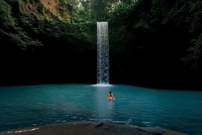 UBUD Private Tour – Rice Terrace, Jungle Swing & Hidden Waterfall - Getting around comfortably in Nick’s air-conditioned car