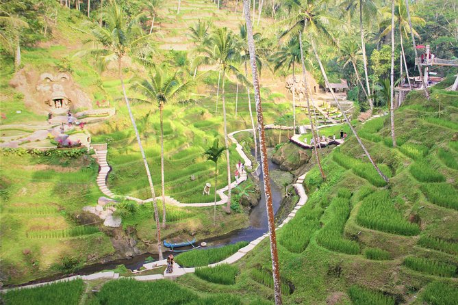 Ubud Private Tour : Ubud Temple and Authentic of Ubud - Tegalalang Rice Terraces: subak irrigation you can actually look at