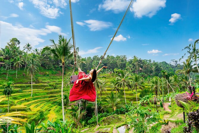 Ubud Private Tour: Waterfalls, Temple and Rice Terraces Swing - Key things that make this Ubud day work