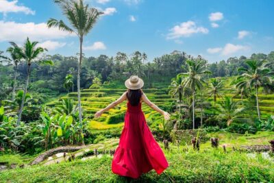 Ubud Private Tour: Waterfalls, Temple and Rice Terraces Swing - Stop 1: Tegalalang Rice Terraces and the rice terrace swing moment