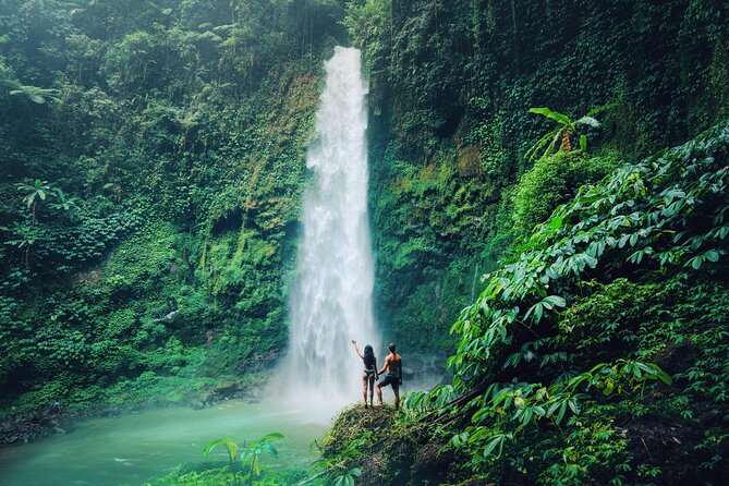 Ubud Private Tour: Waterfalls, Temple and Rice Terraces Swing - Lunch at D Alas Warung: rice terraces + a real break