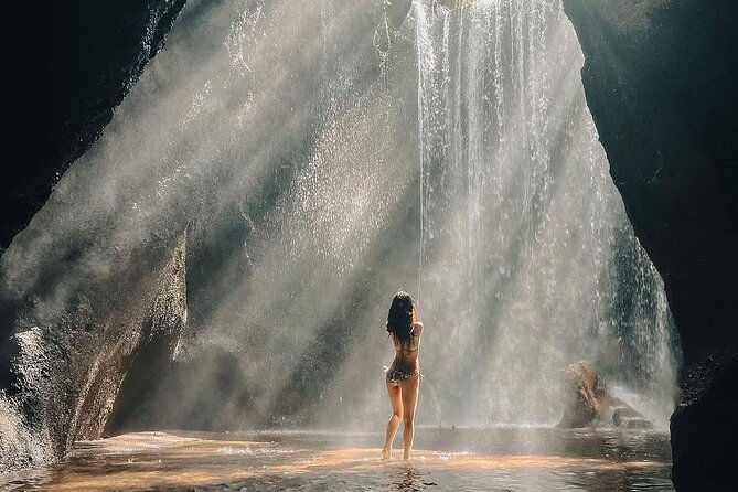 Ubud Private Tour - Waterfalls, Water Temple & Rice Terraces - Key highlights I’d plan around