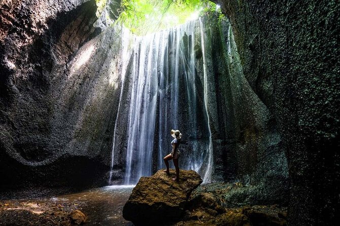 Ubud Private Tour - Waterfalls, Water Temple & Rice Terraces - A Ubud day that actually moves: why this route works