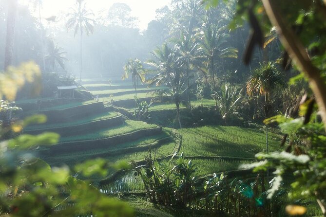 Ubud Private Tour - Waterfalls, Water Temple & Rice Terraces - Tukad Cepung Waterfall: the cave-and-light moment